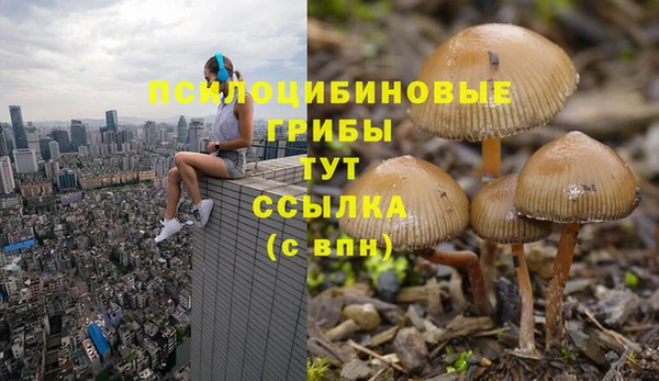 молекула духа Краснотурьинск