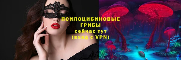 винт Краснослободск