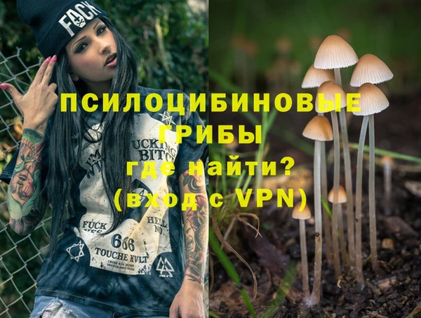 винт Краснослободск